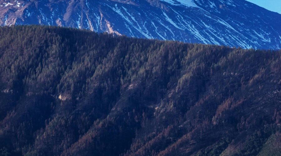 Tenerife ontdekken: bezienswaardigheden, activiteiten en tips